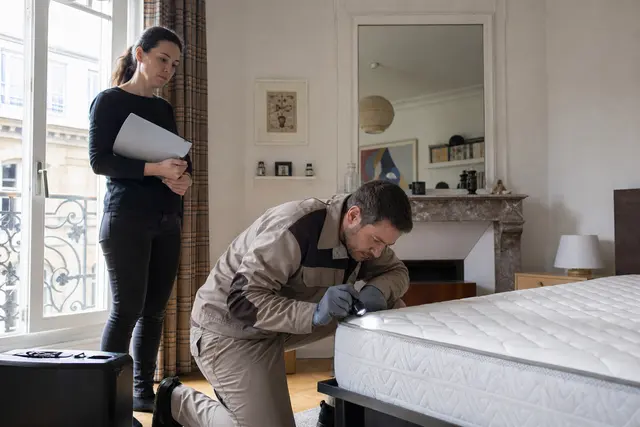 Assurance multirisque punaises de lit : quelles offres incluent la prise en charge des infestations ?