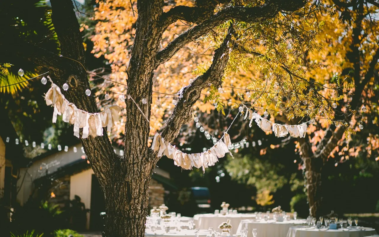 Comment choisir et utiliser une guirlande lumineuse extérieure pour décorer votre jardin pendant les fêtes de noël ?
