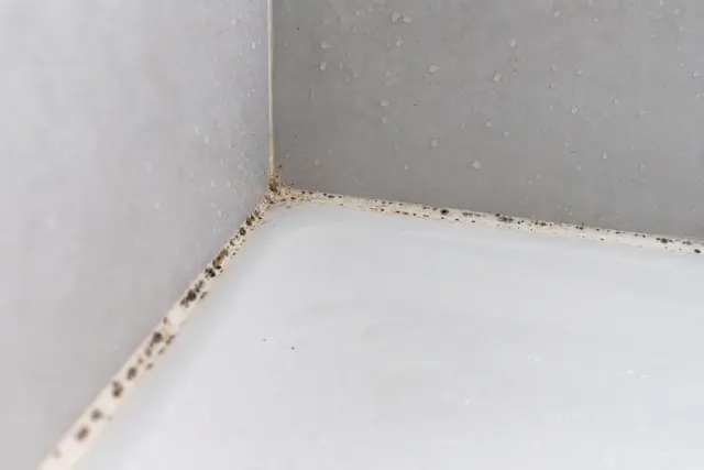 Angle d'une douche carrelée avec un joint en silicone piqueté de taches noires, en lumière naturelle