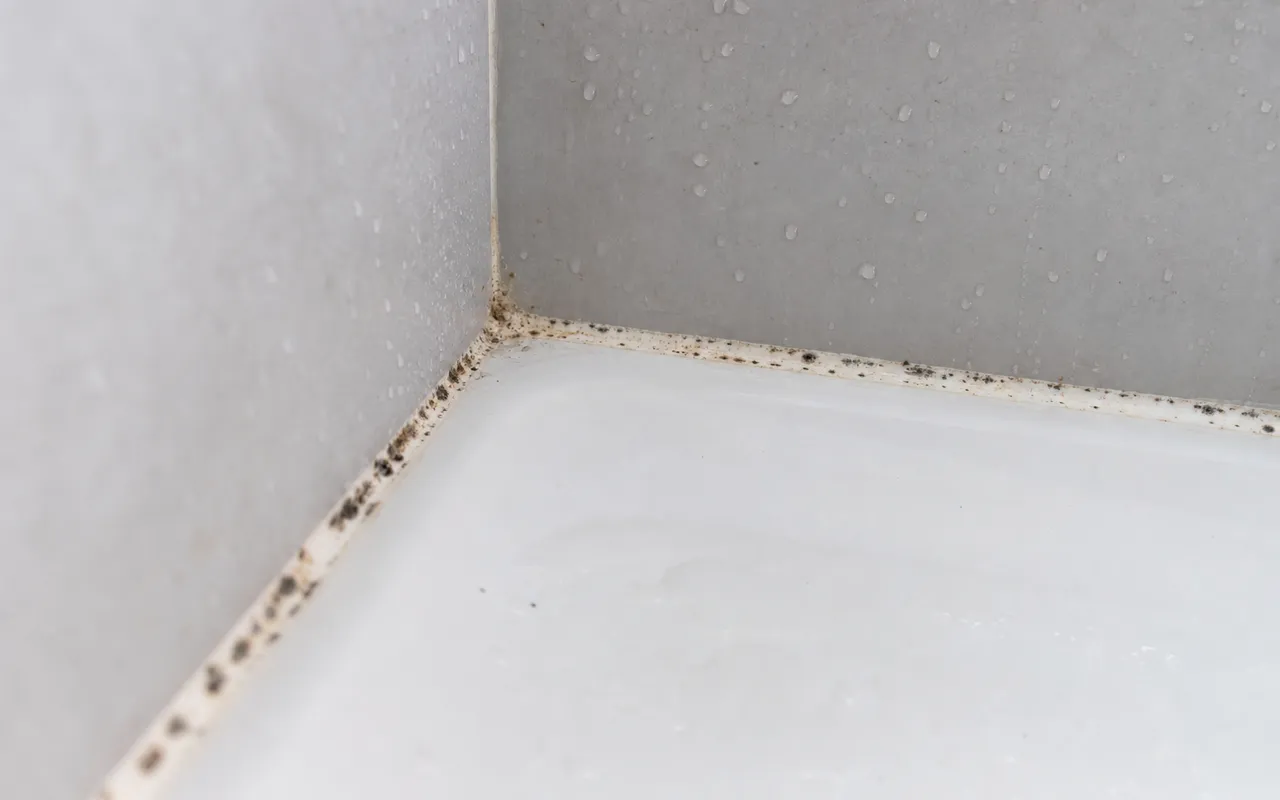 Angle d'une douche carrelée avec un joint en silicone piqueté de taches noires, en lumière naturelle
