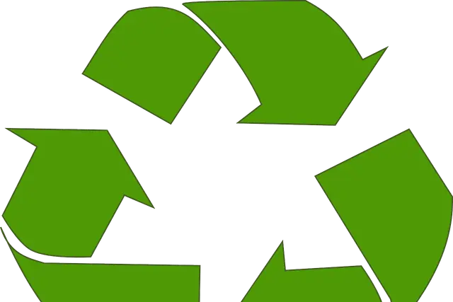 Le bois est-il une sourcer d’énergie verte ?