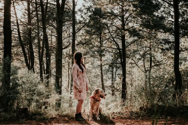 Les bienfaits cachés de la marche en forêt pour le moral