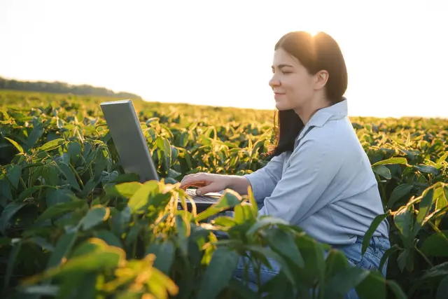 Retours d’expérience : implanter un logiciel CTI dans une PME du secteur agroalimentaire