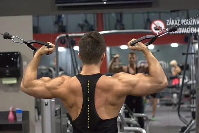Votre guide pratique pour tout savoir sur le renforcement musculaire